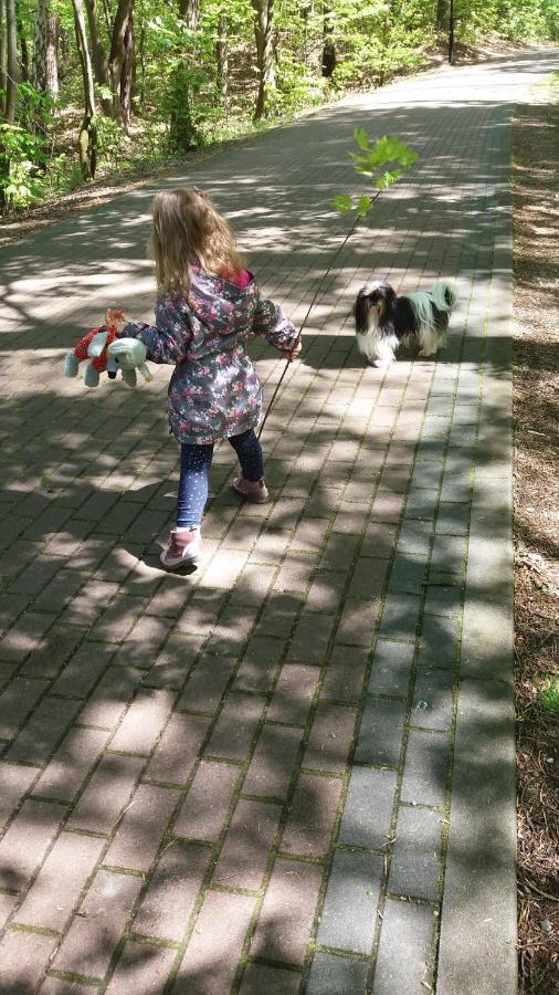 Limba Διαμέρισμα Jastarnia Εξωτερικό φωτογραφία